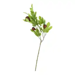 Van Cranenbroek Tak vijg 77 cm aanbieding
