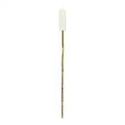 Van Cranenbroek Tuinfakkel 12 cm wit O'malley aanbieding
