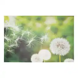 Van Cranenbroek Buitenschilderij 90 x 60 cm paardenbloem aanbieding