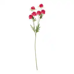 Van Cranenbroek Bloem Marigold roze 80 cm aanbieding