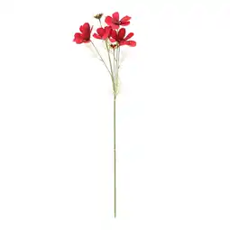 Van Cranenbroek Bloem Coreopsis donkerroze 80 cm aanbieding