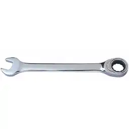 Van Cranenbroek Ringsteek en ratel sleutel 12 mm 489937 aanbieding