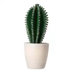 Van Cranenbroek Decoratieve cactusplant 19 cm aanbieding