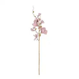 Van Cranenbroek Tak Magnolia lila 82 cm aanbieding