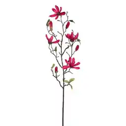 Van Cranenbroek Magnolia donkerroze 75 cm aanbieding