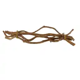 Van Cranenbroek Tak lianen 60 cm 5 stuks naturel aanbieding