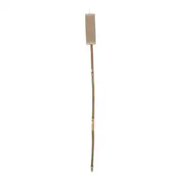 Van Cranenbroek Tuinfakkel 12 cm taupe O'malley aanbieding