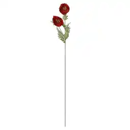 Van Cranenbroek Papaver op steel 106 cm rood aanbieding