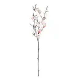 Van Cranenbroek Tak magnolia katje roze 87 cm aanbieding