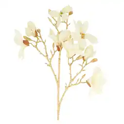 Van Cranenbroek Tak magnolia 86 cm wit goud aanbieding