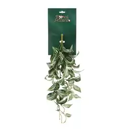 Van Cranenbroek Tak Tradescantia 55 cm aanbieding