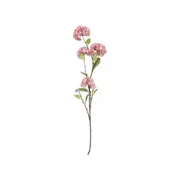 Van Cranenbroek Tak Hydrangea roze 127 cm aanbieding