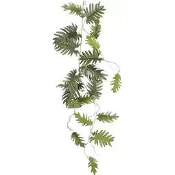 Van Cranenbroek Philodendron selloum hangend groen 115 cm aanbieding