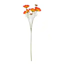 Van Cranenbroek Bloem Coreopsis oranje 80 cm aanbieding