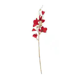 Van Cranenbroek Tak Magnolia rood 82 cm aanbieding