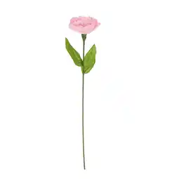 Van Cranenbroek Bloem papier light pink 18 x 18 x 78 cm aanbieding