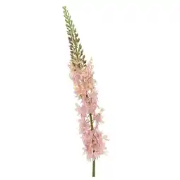 Van Cranenbroek Vossenstaart op steel 96 cm roze aanbieding