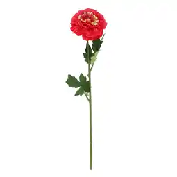 Van Cranenbroek Marigold rood 40 cm aanbieding