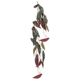 Van Cranenbroek Begonia maculata hangend donkergroen 115 cm aanbieding