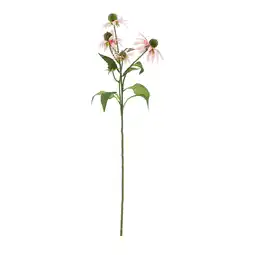 Van Cranenbroek Bloem Rudbeckia roze 73 cm aanbieding