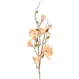 Van Cranenbroek Tak Magnolia roze 82 cm aanbieding