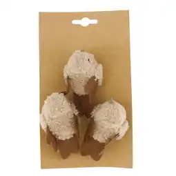 Van Cranenbroek Vogel op clip bruin 3 stuks aanbieding