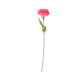 Van Cranenbroek Bloem papier pink 78 cm aanbieding