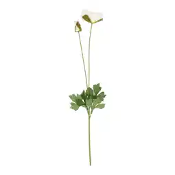 Van Cranenbroek Bloem poppy wit 60 cm aanbieding