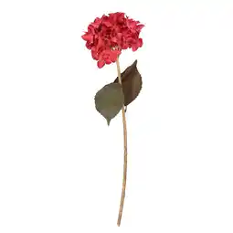 Van Cranenbroek Tak Hydrangea rood 61 cm aanbieding