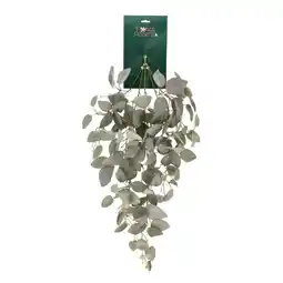 Van Cranenbroek Tak Fittonia 80 cm aanbieding