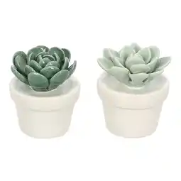 Van Cranenbroek Plant met pot Manuso keram 7 cm aanbieding