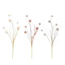 Van Cranenbroek Tak Allium 81 cm 3 assorti aanbieding