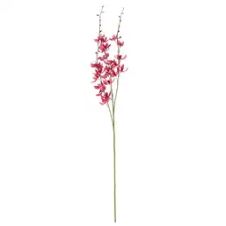Van Cranenbroek Tak Orchidee fuchsia 95 cm aanbieding