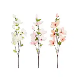 Van Cranenbroek Magnolia perzik creme roze 118 cm aanbieding