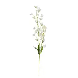 Van Cranenbroek Lelietje van dalen creme 95 cm aanbieding