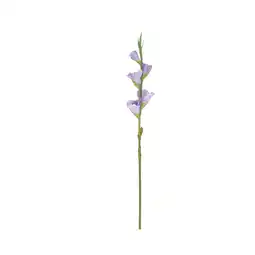 Van Cranenbroek Tak Gladiool real touch paars 84 cm aanbieding