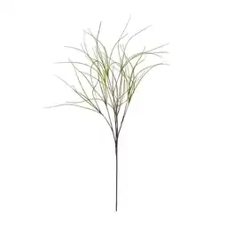 Van Cranenbroek Tak gras groen 118 cm aanbieding