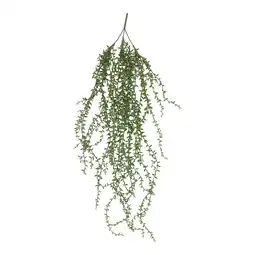 Van Cranenbroek Hangplant 74 cm nc aanbieding