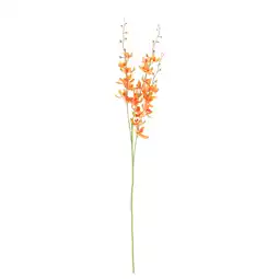 Van Cranenbroek Tak Orchidee oranje 95 cm aanbieding