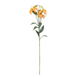Van Cranenbroek Tak tijgerlelie oranje 117 cm aanbieding