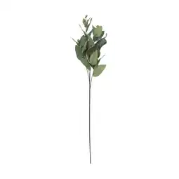 Van Cranenbroek Tak eucalyptus groen 82 cm aanbieding