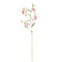 Van Cranenbroek Tak tijgerlelie roze 117 cm aanbieding