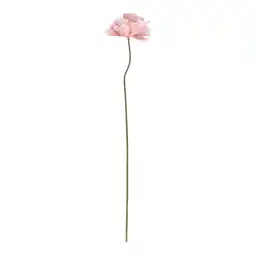 Van Cranenbroek Tak klaproos mauve 76 cm aanbieding