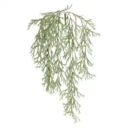 Van Cranenbroek Hangplant 60 cm nc aanbieding