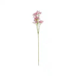 Van Cranenbroek Tak saxifrage roze 65 cm aanbieding