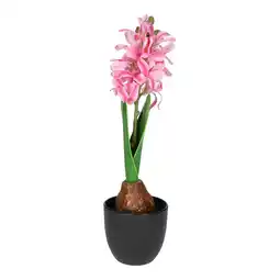 Van Cranenbroek Hyacinth in pot roze 28 cm aanbieding