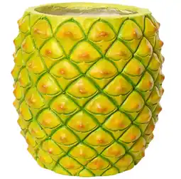 Van Cranenbroek Pot ananas 31 cm aanbieding