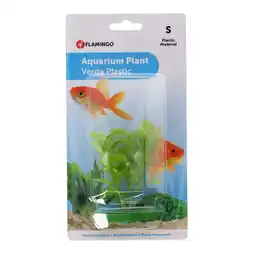 Van Cranenbroek Plant aqua plastic S assorti aanbieding