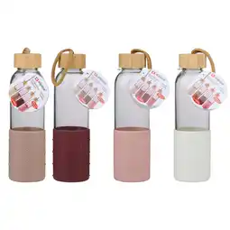 Van Cranenbroek Drinkfles 500 ml assorti Alpina aanbieding