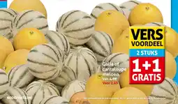 Hoogvliet Galia of Cantaloupe Meloen aanbieding